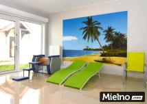 Pokoje i Apartamenty ALSTIMO 